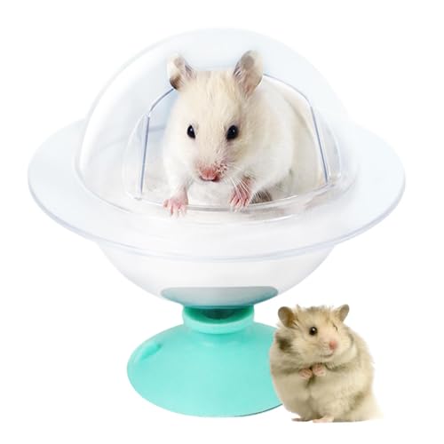 Dranng Hamster Badezimmer - Sandbad Chinchilla Katzentoilette Badeschale Duschraum - Graben Sandbehälter Relaxhaus Transparent für Rennmäuse Zwerghamster von Dranng