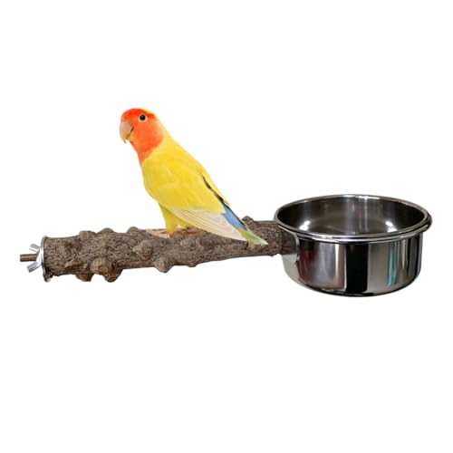 Dranng Papageiung Barsch mit Fütterungsbecher, Holzbarsch für Vogelkäfig,Vogelkäfigständer - Integriertes Design -Fütterungsinstrument für Cockatiels, mittlere, Wellensittiche, Sittiche von Dranng