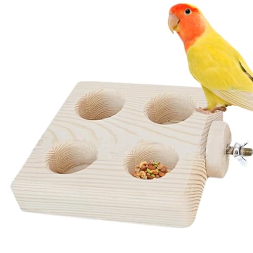 Dranng Vogelfutterbox aus , Spielzeug für Papageien, Futterspender für Vögel, Spielzeug für Vogelstangen im Käfig für Nymphensittiche, Graupapageien, Aras, Conure von Dranng