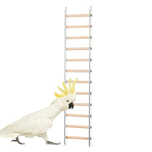 Dranng Vogelleiter für Käfig, Vogelkäfigleiter,Conure Cage Stand Accessoires | Flossenleitertrainingspielzeug mit 360 ° -rotierbarer Haken für Cockatiel Conure Selakeet Lovebirds von Dranng