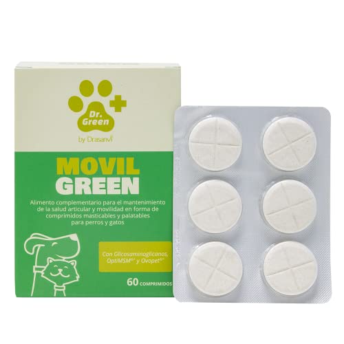 MOVILGREEN 60 Tabletten DR Green von Drasanvi