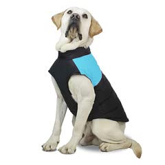 Drasawee Hunde-Wintermantel, winddicht, gemütlich, kaltes Wetter, Hundejacke, Hundeweste für kleine, mittelgroße und große Hunde, blau, Größe S von Drasawee