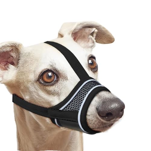 Hunde Maulkorb, Nylon-Maulkorb Für Hunde Verstellbares Gurtband Geeignet für Maulkörbe von mittleren und großen Hunden Verhinderung von Bellen, Beißen und Kauen (L) von Dratenger