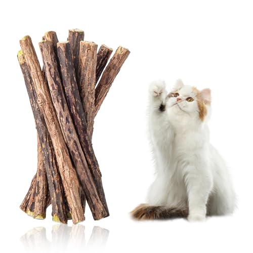 Dreamil Matatabi Kausticks 5 Stück Katzenminze Sticks Katzen Kauhölzer für Zahnpflege Gegen Mundgeruch Katzenspielzeug Natürlich Sicher von Dreamil