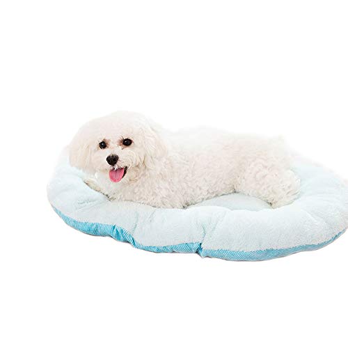 Dreamls Haustierbett, Hund Winter Schlafbett Weich Warm Dick Doppelseitiges Nest Bett Pad Katze Matte für Welpen Kleine Hunde (S: Blau) von Dreamls