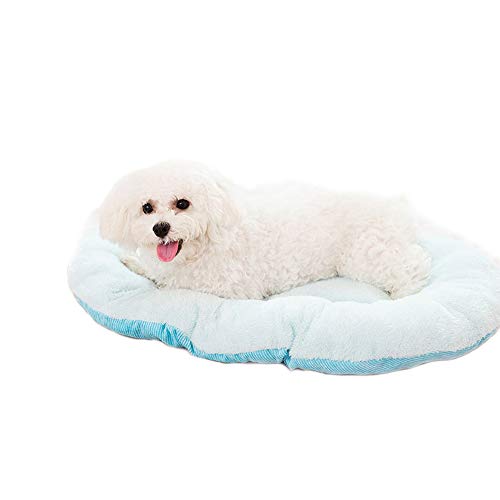 Dreamls Haustierbett, Hund Winter Schlafbett Weich Warm Dick Doppelseitiges Nest Bett Pad Katzenmatte für Welpen Kleine Hunde (M: Blau) von Dreamls