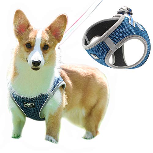 Dreamls Haustiergeschirr, Hundeweste und Leine Set mit reflektierendem weichem Netz, verstellbarer Brustgurt für Welpen, kleine Hunde, mittelgroße Hunde (XL-blau) von Dreamls