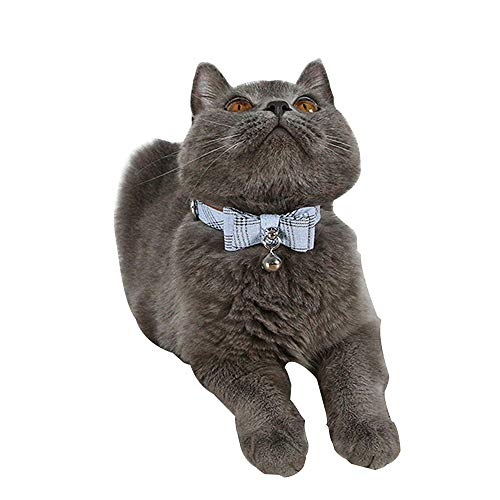 Dreamls Haustierhalsband, Katzenhalsband mit Schleifenknoten, Kätzchen-Halskette, weich, verstellbar, PU-Katzenglocken-Halsband für Katzen, Welpen (blau) von Dreamls