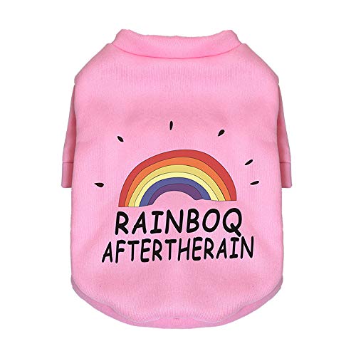 Dreamls Haustierkleidung, Hunde-Sweatshirt, warmer Samt, Welpenpullover, kaltes Wetter, Hunde-Outfits, Zwergspitz-Kleidung für Katzen, Welpen, kleine Hunde (M: Regenbogen-Pink) von Dreamls