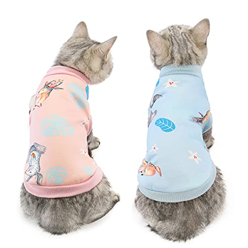 Dreamls Katzenkleidung, 2 Stück Katzen-Sweatshirts warmes T-Shirt Kätzchen Kleidung weiche Baumwolle Welpen Pullover Haustier Mantel für Katzen Welpen (L: Rehkitz) von Dreamls