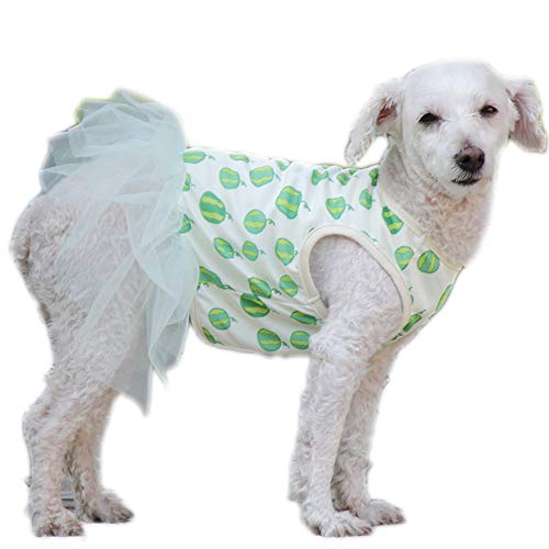 Haustier-Kleidung, Hunde-Prinzessinnenkleid, cooles Obst-Hunderock, Garn, weiches Tutu, Hochzeitskleid für Welpen, kleine Hunde, mittelgroße Hunde, Größe M: Wassermelone von Dreamls