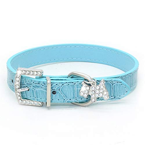 Haustierhalsband, Hundehalsband mit Bling Strass Hundedekor Verstellbare PU Welpenhalsband D-Ring Schnalle für kleine Hunde (M-Blau) von Dreamls