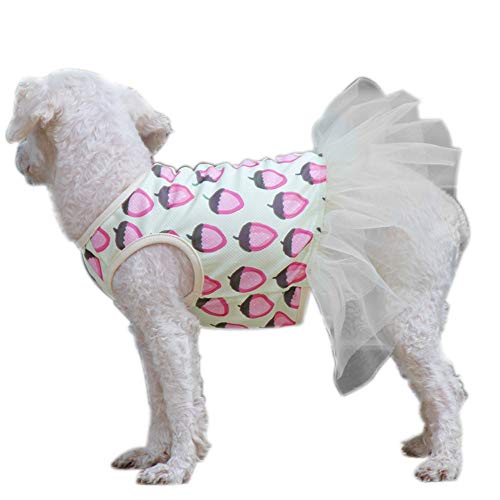 Haustierkleidung, Hunde-Prinzessinnenkleid, cooles Obst-Hunderock, Garn, weiches Tutu-Hochzeitskleid für Welpen, kleine Hunde, mittelgroße Hunde (2XL: Erdbeere) von Dreamls