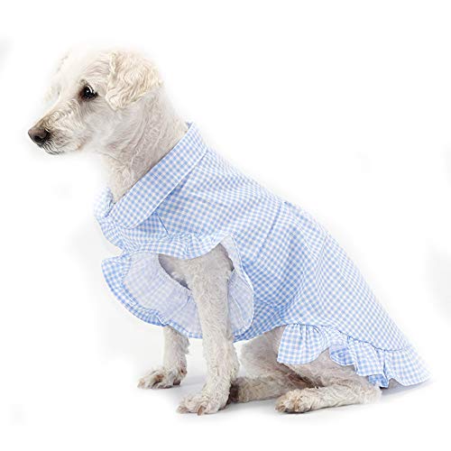 Haustierkleidung, Hunde-Prinzessinnenkleid, weiche Baumwolle, kariert, Hochzeit, Partyrock, Tutu-Kostüm für Welpen, kleine Hunde, mittelgroße Hunde (2XL-Blau) von Dreamls