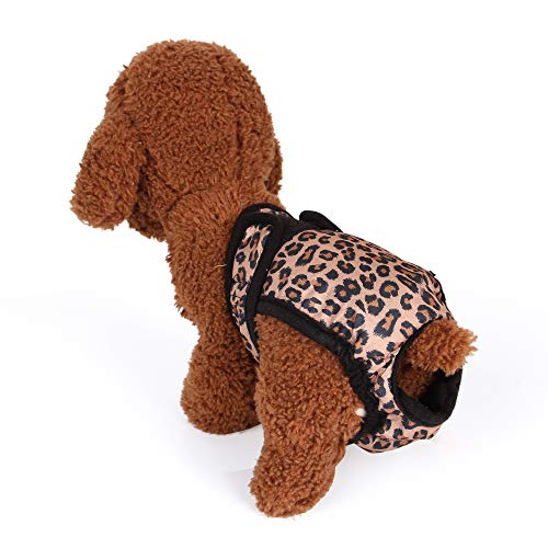 Haustierwindeln, weibliche Hunde, physiologische Hose, atmungsaktiv, wiederverwendbar, Sanitär-Hose, Anti-Belästigung Sicherheitsunterwäsche für kleine Hunde (XXL: Leopard) von Dreamls