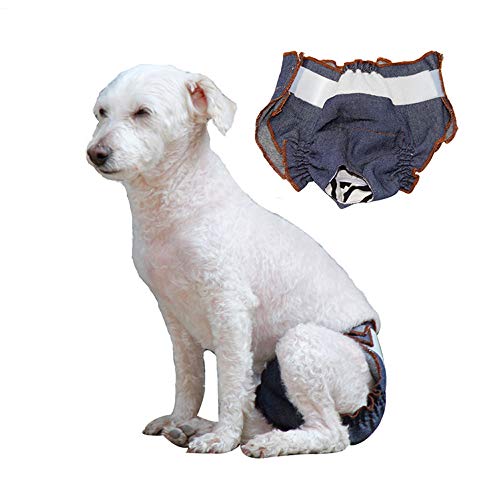 Haustierwindeln, weiblicher Hund, waschbar, Sanitärhose, wiederverwendbare Menstruationshöschen, Baumwoll-Hundewindeln für kleine Hunde, mittlere Hunde (2XL) von Dreamls