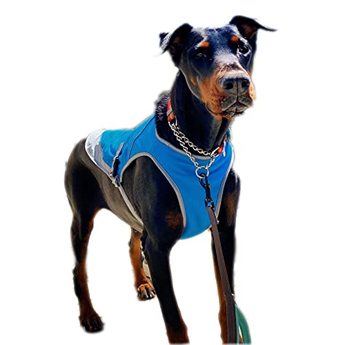 Hunde Kühlweste Jacke Sommer Regenbogen Hundegeschirr Mantel Outdoor Hundeweste Hemd für Kleine Mittlere Hunde (XL-Blau) von Dreamls