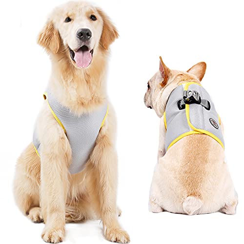 Hundegeschirr Kühlgeschirr Sommer Mesh Verstellbar Hund Kühlweste Jacke Outdoor Sonnenfest Haustiermäntel für kleine mittelgroße große Hunde (2XL) von Dreamls