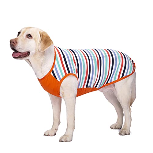 Hundekleidung, Großes Hunde-Shirt Anti-Haar-Hunde-T-Shirt Atmungsaktive Gestreifte Weste Sonnencreme Hundekostüm für mittelgroße große Hunde (36/6XL: Orange) von Dreamls