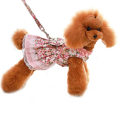 Hundekleidung, Hunde-Prinzessinnenkleid mit Leine, Baumwolle, Katzenkleid, schönes Haustier-Tutu-Rock für kleine und mittelgroße Hunde (XL: Rosa) von Dreamls