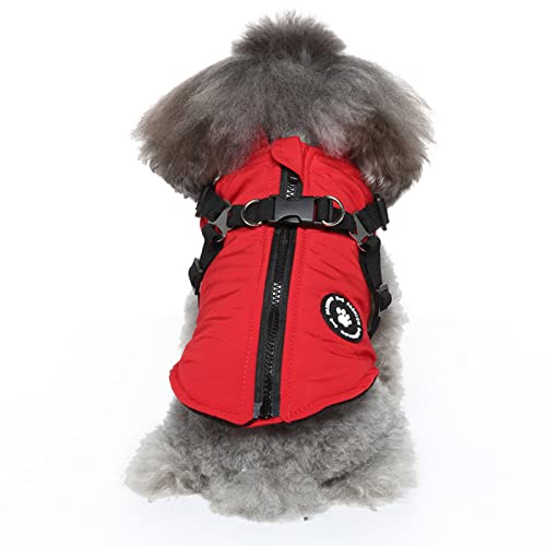 Hundekleidung, Hundemäntel mit Geschirr 2 in 1 Hundejacke Geschirr Reißverschluss Winter Winddicht Hundekostüm für Welpen Kleine Mittlere Hunde (L: Rot) von Dreamls