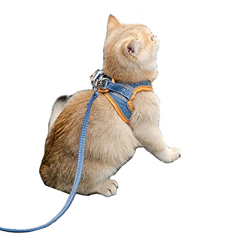 Katzengeschirr und Leine Set Verstellbar Weich Step-in Hundeweste Geschirr Reflektierend Outdoor Geschirr für Katzen Hunde (2XL: Blau) von Dreamls