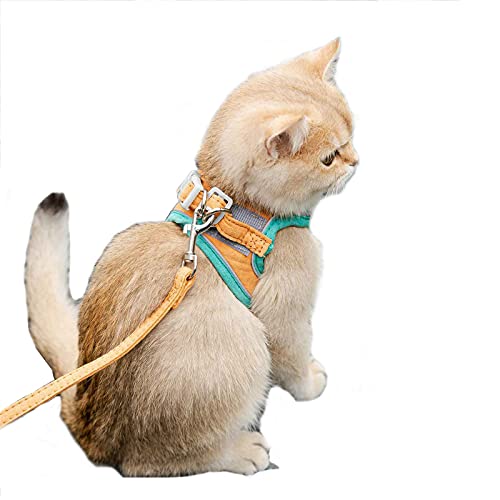 Katzengeschirr und Leine Set Verstellbar Weich Step-in Hundeweste Geschirr Reflektierend Outdoor Geschirr für Katzen Hunde (2XL: Orange) von Dreamls