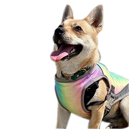 Kühlweste für Hunde, Sommerweste, Regenbogen, Hundegeschirr, Mantel, Outdoor-Hundeweste, Hemd für kleine mittelgroße Hunde (XL-Regenbogen) von Dreamls