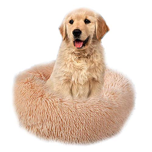 Rundes Nest, Katze Winter Schlafbett Warm Plüsch Indoor Nest Waschbar Hundehütte für Katzen Welpen Kleine Mittlere Hunde (Durchmesser 70 cm, Aprikose) von Dreamls