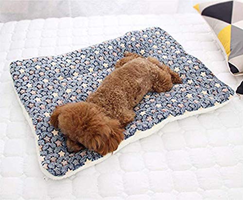 Dreamskull Hundematte Hundekissen Hundedecke Katzendecke Katzenmatte Hundebett Matte Decke Bett Hund Kleine Große Hunde Katzen Haustiere Flauschig und Weich Waschbar Plüsch Kuschelig (81*62cm, Blau) von Dreamskull