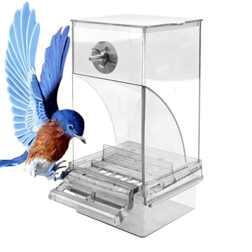 Automatischer Vogelfutterspender, Anti-Verschütten Vogelfutterspender, No M-ess Vogelfutterstation Acryl Vogelkäfig Futterspender Transparent Vogelkäfig Futterspender Vogelkäfig Zubehör für Sittiche von Dreuhuing