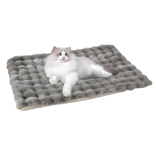 Dreuhuing Katzenmatte Bett – Plüsch-Haustier-Couch-Schlafunterlage – Haustierbett-Unterlage, Winter-Thermo-Katzen- und Hundebett-Matte, Katzenwärmer-Matte für Indoor-Katzen von Dreuhuing