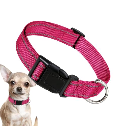 Dreuhuing Nylon-Hundehalsband, Komfort-Halsband – Nylon-Hundehalsband, bequem, atmungsaktiv, bequem für große Katzen, kleine Hunde von Dreuhuing