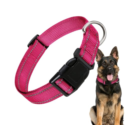 Dreuhuing Nylon Hundehalsband, atmungsaktives Nylon Haustier Halsband, Nylon Hundehalsband, Hund Komfort Halsband atmungsaktiv, bequem für große Katze, kleine Hunde von Dreuhuing