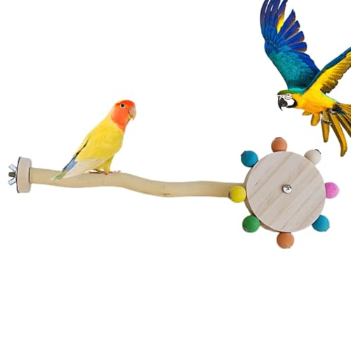 Dreuhuing Papageienfußspielzeug, Vogelrollerspielzeug - Vögel Spielen Turnspielzeug | Vögel Spielen im Fitnessstudio, Sittichständer, Sitzstange, lustiges, ansprechendes Käfigspielzeug, Käfigzubehör von Dreuhuing