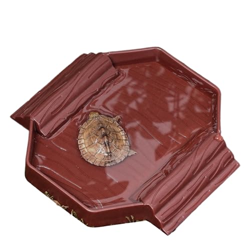 Dreuhuing Schildkröten-Wasserschale | Kleine Reptilien-Badeschale, 2-in-1 Schildkröten-Wasserwanne zum Baden und Füttern für Gecko, Schlange, Schildkröte Dreuhuing Schildkröten-Wasserschale | Kleine Reptilien-Badeschale, 2-in-1 Schildkröten-Wasserwanne zum Baden und Füttern für Gecko, Schlange, Schildkröte von Dreuhuing