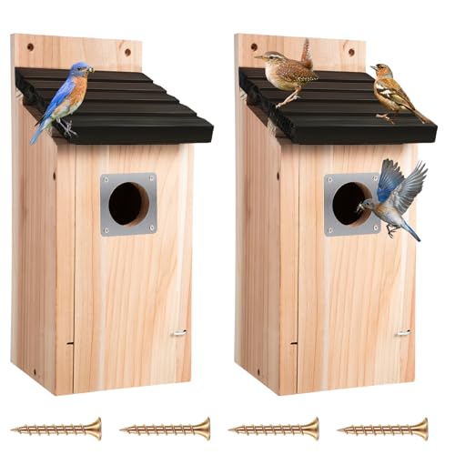 Dreyoo 2 x Zedernholz-Kastenhäuser für den Außenbereich, 3,8 cm Eingangsloch, Holz-Vogelhäuser mit Metallschutz, sicherer Verriegelung, Jungfrillen, Lüftungsschlitze für Bluebird Wren Schwalbe von Dreyoo