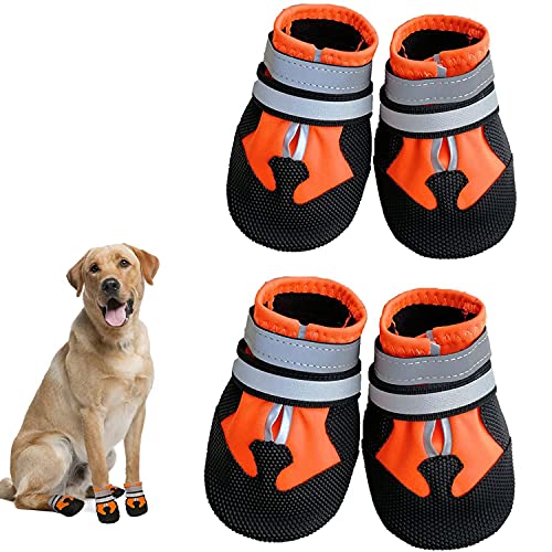 Dricar Hundeschuhe Pfotenschutz Outdoor, 4 Stück Hundeschuhe Wasserdicht, Hunde Schuhe Anti Rutsch mit reflektierendem Riemen, Hundeschuhe Winter für Hunde in den Klein Mittel und Groß, Orange, M von Dricar