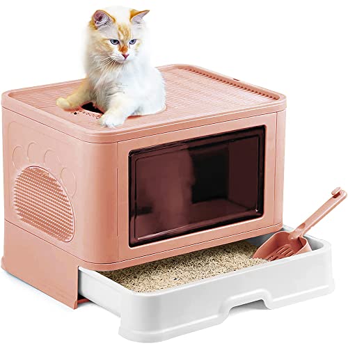 Drumm Katzentoilette, 48,5 x 36,5 x 38 cm, faltbare Katzentoilette mit Deckel, herausnehmbares Tablett, Schaufel, Bürste, für große Katzen, 2 Öffnungen von Drumm