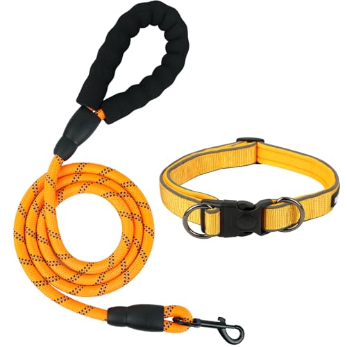 Hundehalsband und Leine, reflektierendes Hundehalsband, robuste Hundeleine, verstellbar, weiches Neopren, gepolstertes Nylon, bequemer gepolsterter Griff, für kleine, mittelgroße und große Hunde, 1,5 von Drunk Dogs