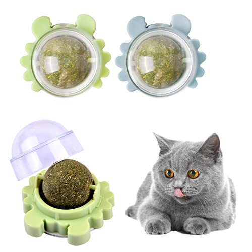 2 Stück Katzenminze für Katzen Katzenminze Balls Spielzeug Drehbare Katzenminze Bälle Wandroller für Katzensnacks Essbares Spielzeug Katzenspielzeug für Katzen Lecken, Zähne Knirschen, Zahnreinigung von Drwosm