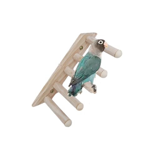 Dsadrwq 1 Stück Papageien-Kletterleiter Vogelkäfig Leiter Vogelleiter Vogelsitzstangen Vogelspielplatz Vogelkäfig Zubehör Sittich Spielplatz für alle Vögel von Dsadrwq