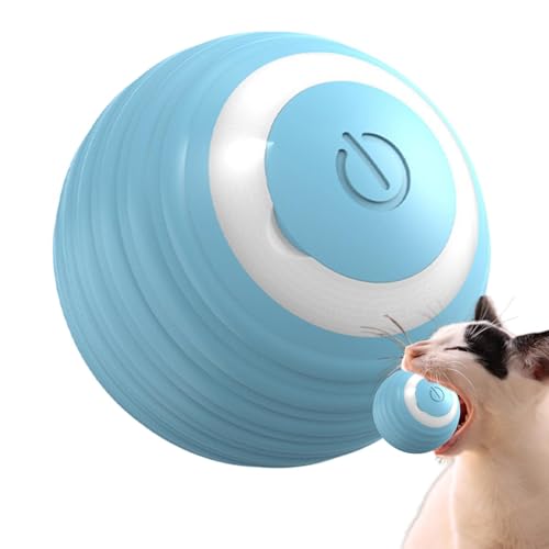 Dtaigou Automatischer Katzenspielzeugball, Interaktives Spielzeug Katze Wiederaufladbarer Ball, Reduziert Indoor Kätzchen Langeweile Kleine Mittlere Große Katzen Rollball für Wohnzimmer, Garten von Dtaigou