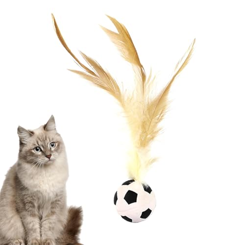 Dtaigou Cat Toys für Innenkatzen, Kätzchenballspielzeug - Bounce Ball Cat Toy | Interaktive Katzenkauen -Lieferungen für Langeweile Hilfsgüter Haustier Jagd Sportgeräte von Dtaigou