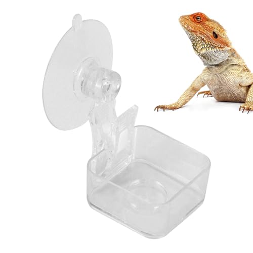 Dtaigou Gecko-Futternapf - Reptilien-Futterspender mit Saugnapf - Leicht zu Reinigende Wasserschale für Baumfrösche, Geckos, Echsen und Spinnen im Haustierhabitat Dtaigou Gecko-Futternapf - Reptilien-Futterspender mit Saugnapf - Leicht zu Reinigende Wasserschale für Baumfrösche, Geckos, Echsen und Spinnen im Haustierhabitat von Dtaigou