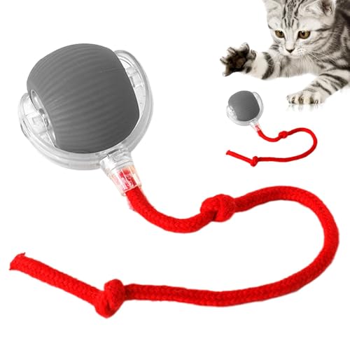 Dtaigou Hewie Rolling Ball, Chewie Mate Katzenspielzeug, interaktiver Katzenball, Smart Ball Katzenspielzeug, automatisch rollender Haustierball, für Katzenhunde von Dtaigou