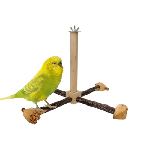 Dtaigou Hölzerner Vogelperch Stand, Papageiklettern Stehbar - Shotet -Kletternbarsch für Käfig,Hölzerner Papageienschwung Spielen Fitness -Training -Käfigzubehör für Lovebirds, Conures von Dtaigou