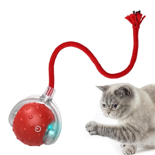 Dtaigou Interaktiver Katzenball, Intelligenter Interaktiver Spielzeugball Für Haustiere, Aktiver Rollball Für Hunde, Katzenspielzeug-Rollball, Intelligenter Katzenball Zur Unterhaltung Und von Dtaigou