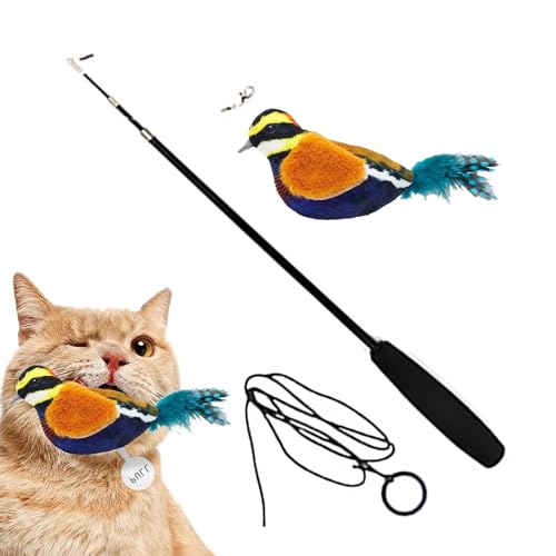 Dtaigou Katzen-Stäbchen - Vogelfederspielzeug für Katzen | Wiederverwendbares, interaktives, quietschendes Katzen-Teaser-Entwicklungsspielzeug für Katzenwelpen im Innenbereich von Dtaigou