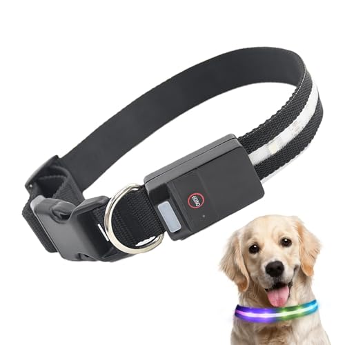 Dtaigou Leuchtendes Hundehalsband,LED-Hundehalsband, Wiederaufladbares LED-Hundehalsband, bunt leuchtendes Halsband, Leuchtende Hundehalsbänder, Hundehalskette für Damen, Herren, Erwachsene, Nacht von Dtaigou